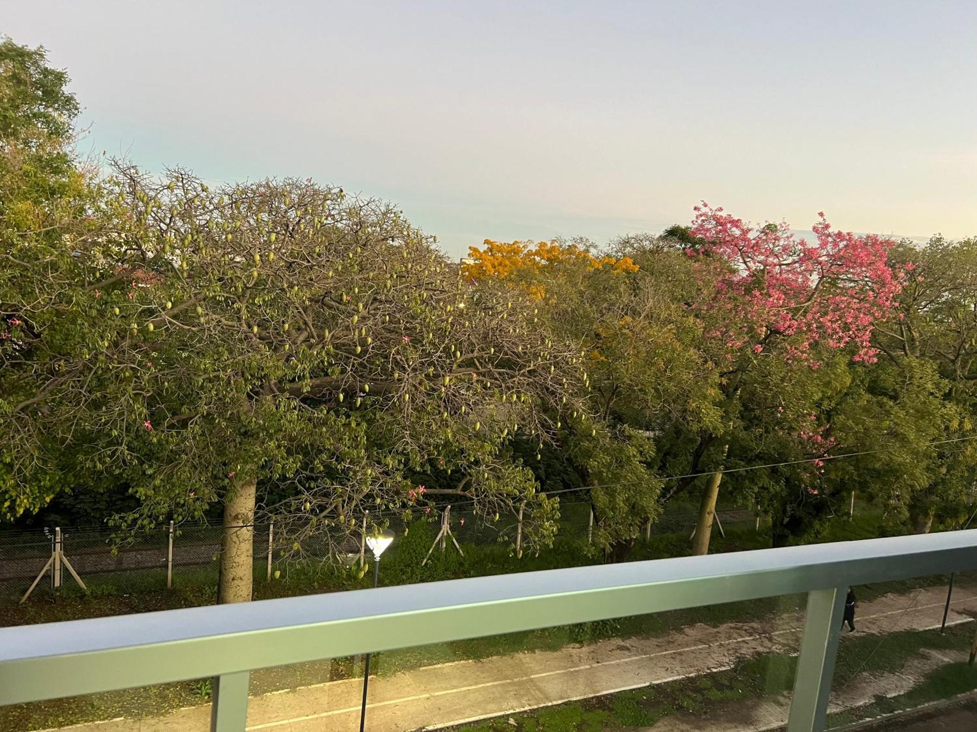 Apartment Lya El Palomar (Buenos Aires)